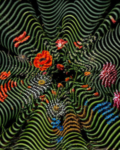 Flora Serpentine
