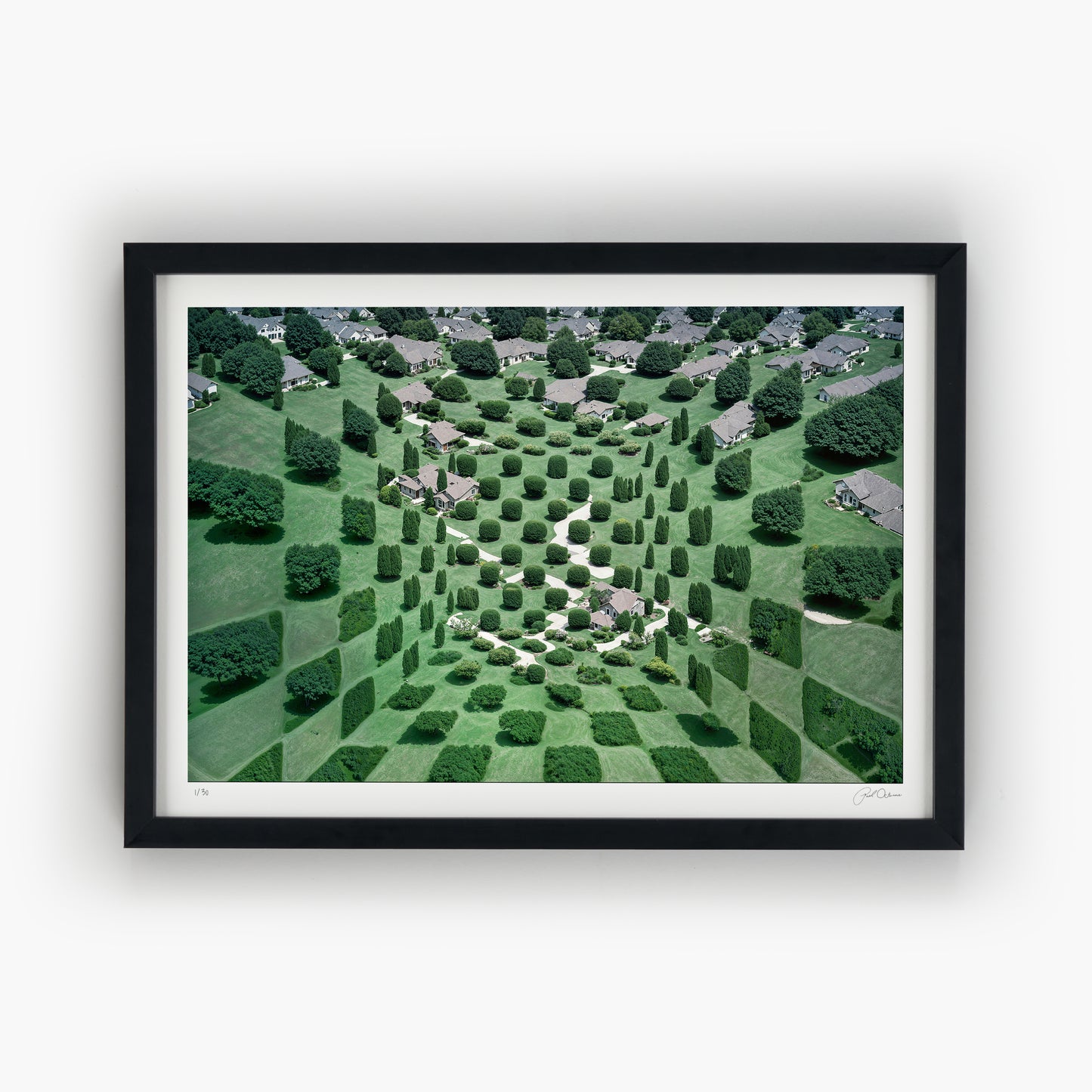 Patchwork Hills