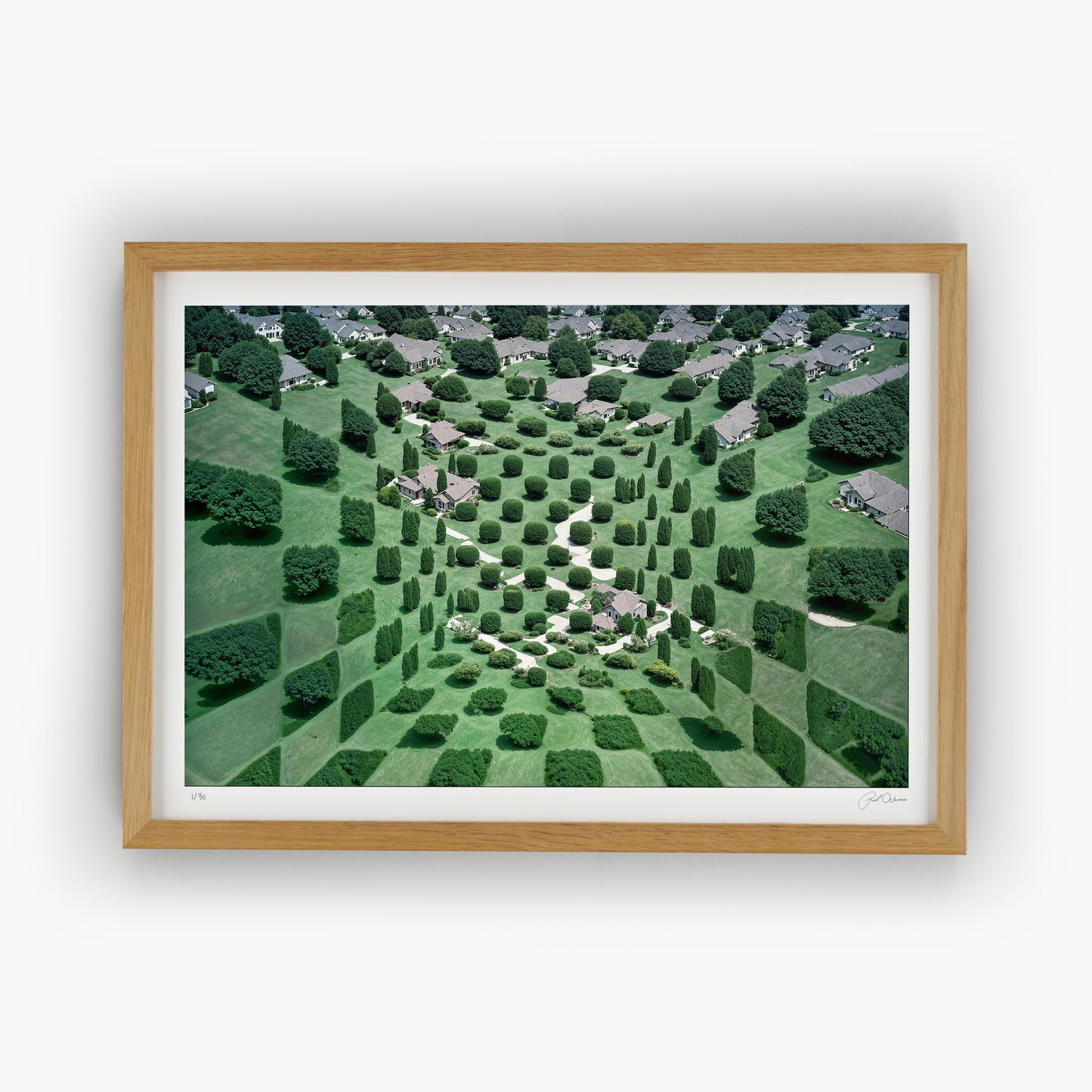 Patchwork Hills
