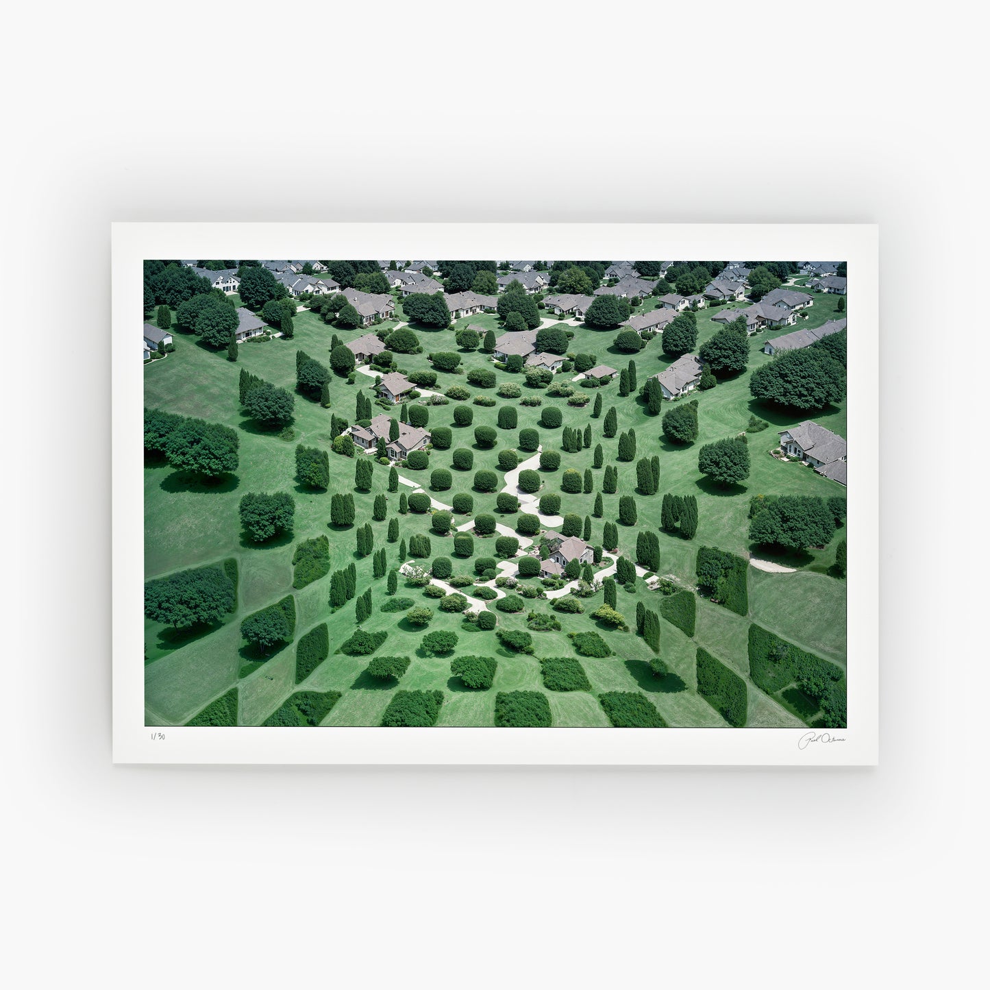 Patchwork Hills
