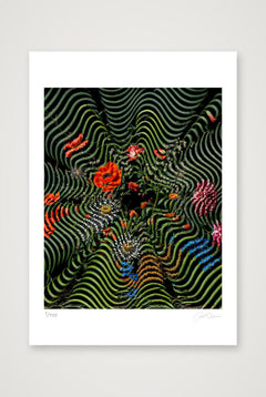 Flora Serpentine — A4 (21×30cm, 8×12") Print only