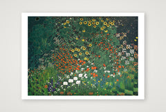 Where the Sunflowers Dream — 84×59cm, 33×23" Print only