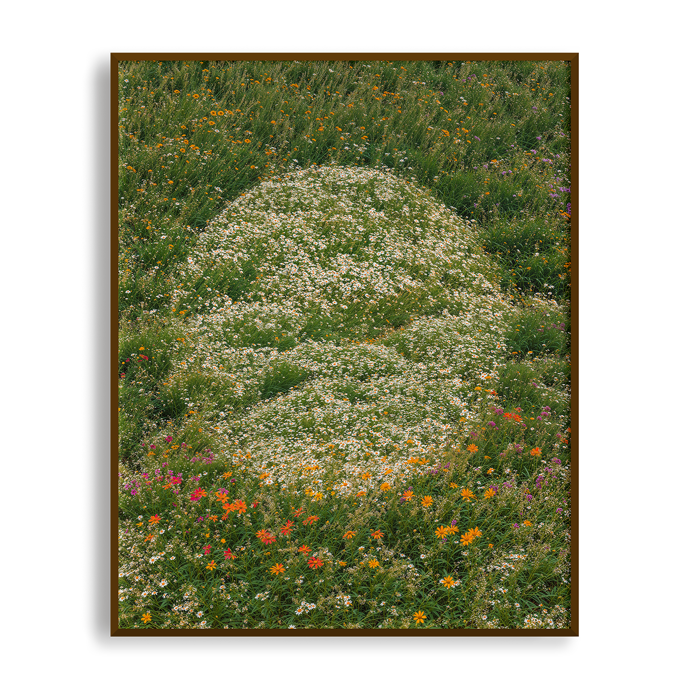 Field of Dreams - Sphere