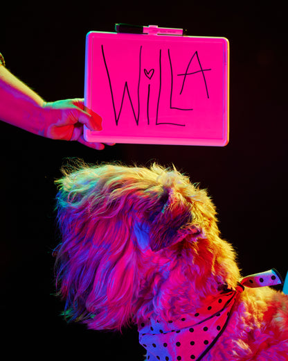 🌈 Rainbow Portraits by Paul Octavious