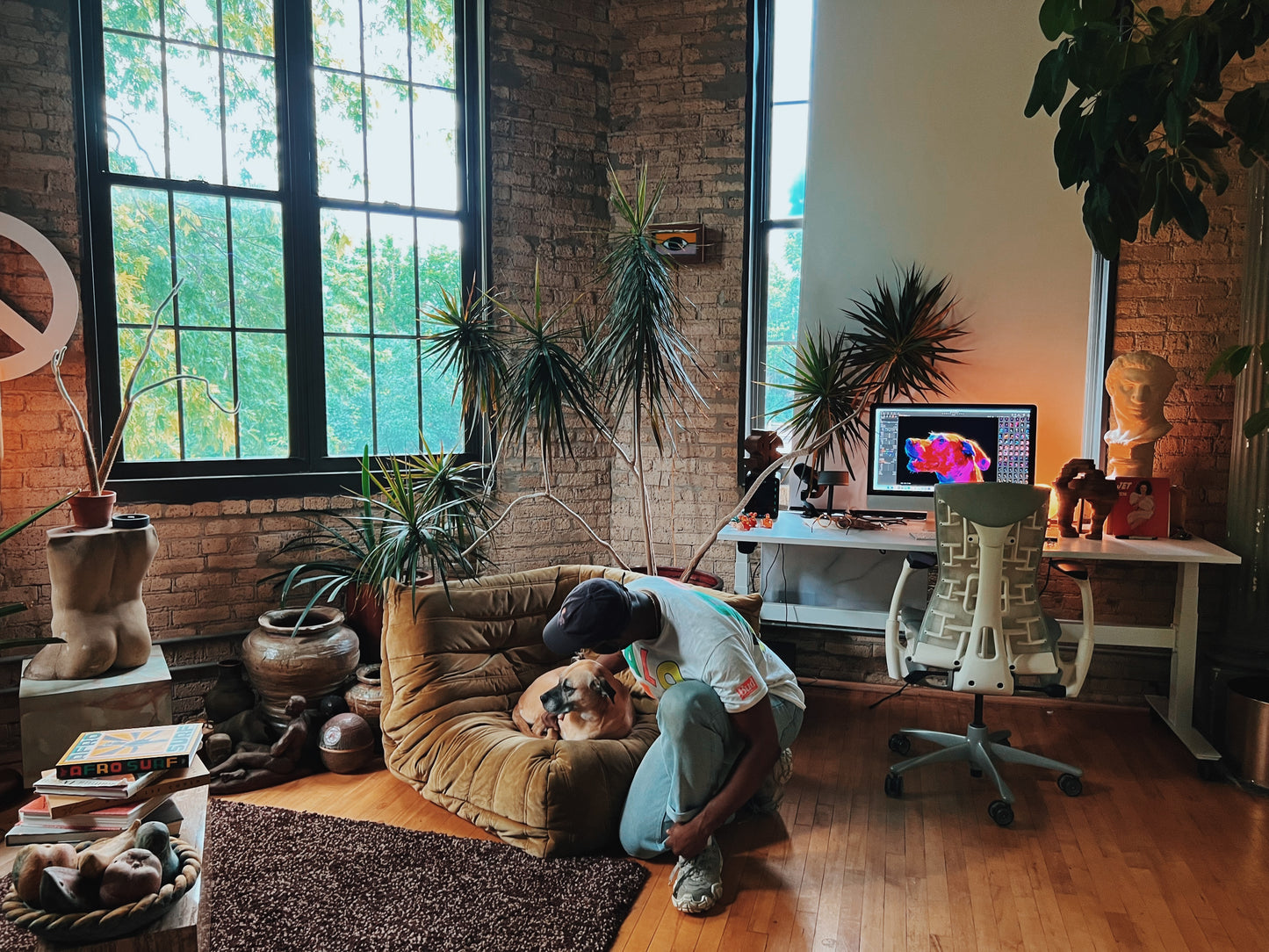 Pet Technicolor - Chicago Portrait Sessions