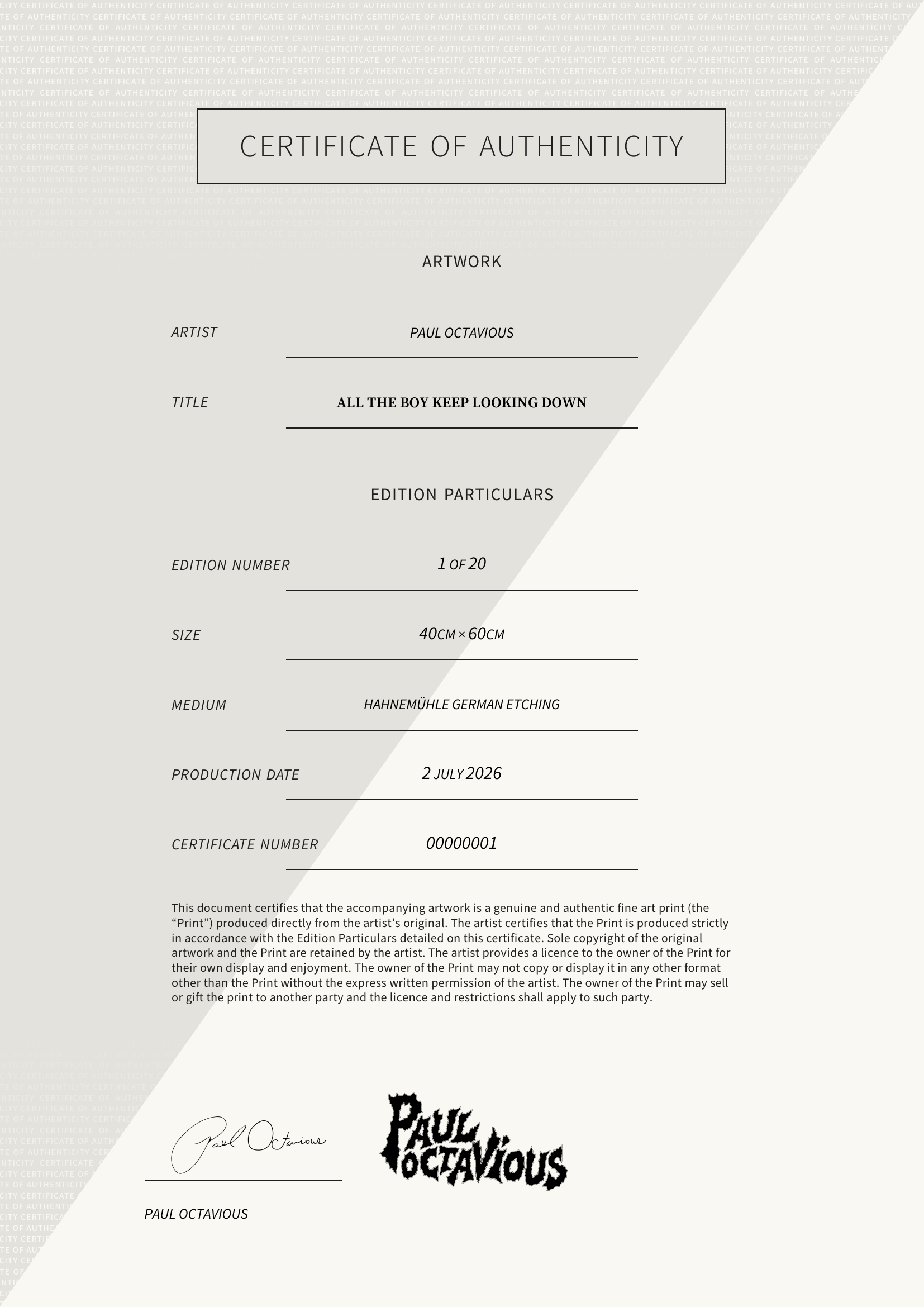 All the Boy Keep Looking Down — Certificate of Authenticity