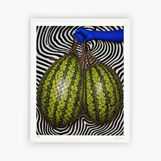 🍈 WATERMELONS - two melons, black fishnet