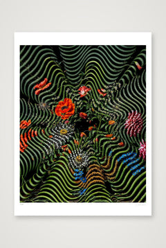 Flora Serpentine — 60×80cm, 24×31" Print only