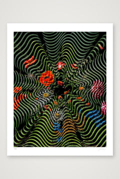 Flora Serpentine — 40×50cm, 16×20" Print only