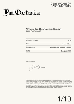Where the Sunflowers Dream — Certificate of Authenticity