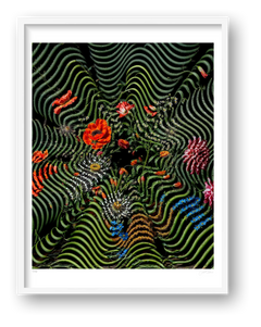 Flora Serpentine — framed