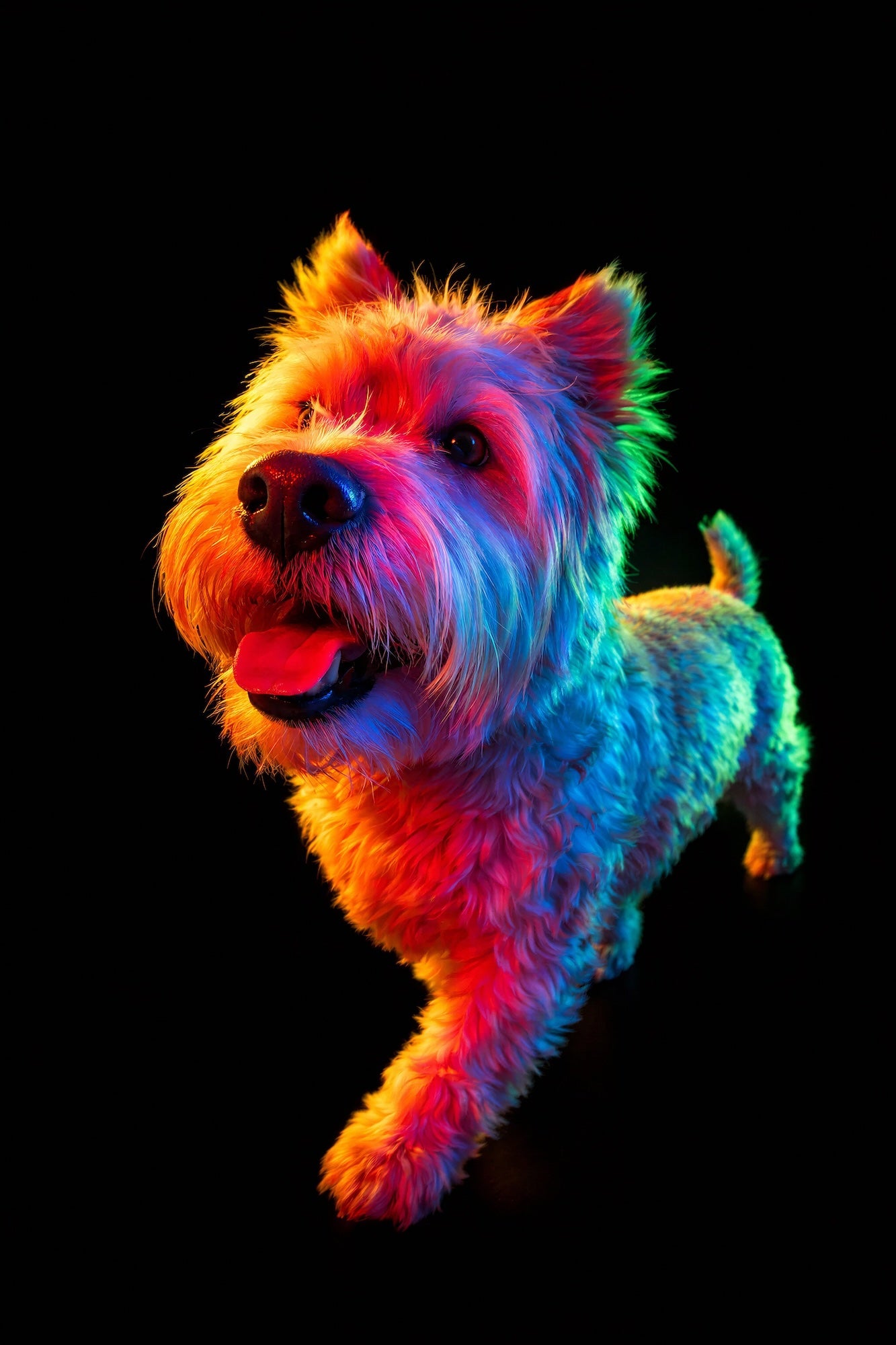 🌈 Rainbow Portraits by Paul Octavious