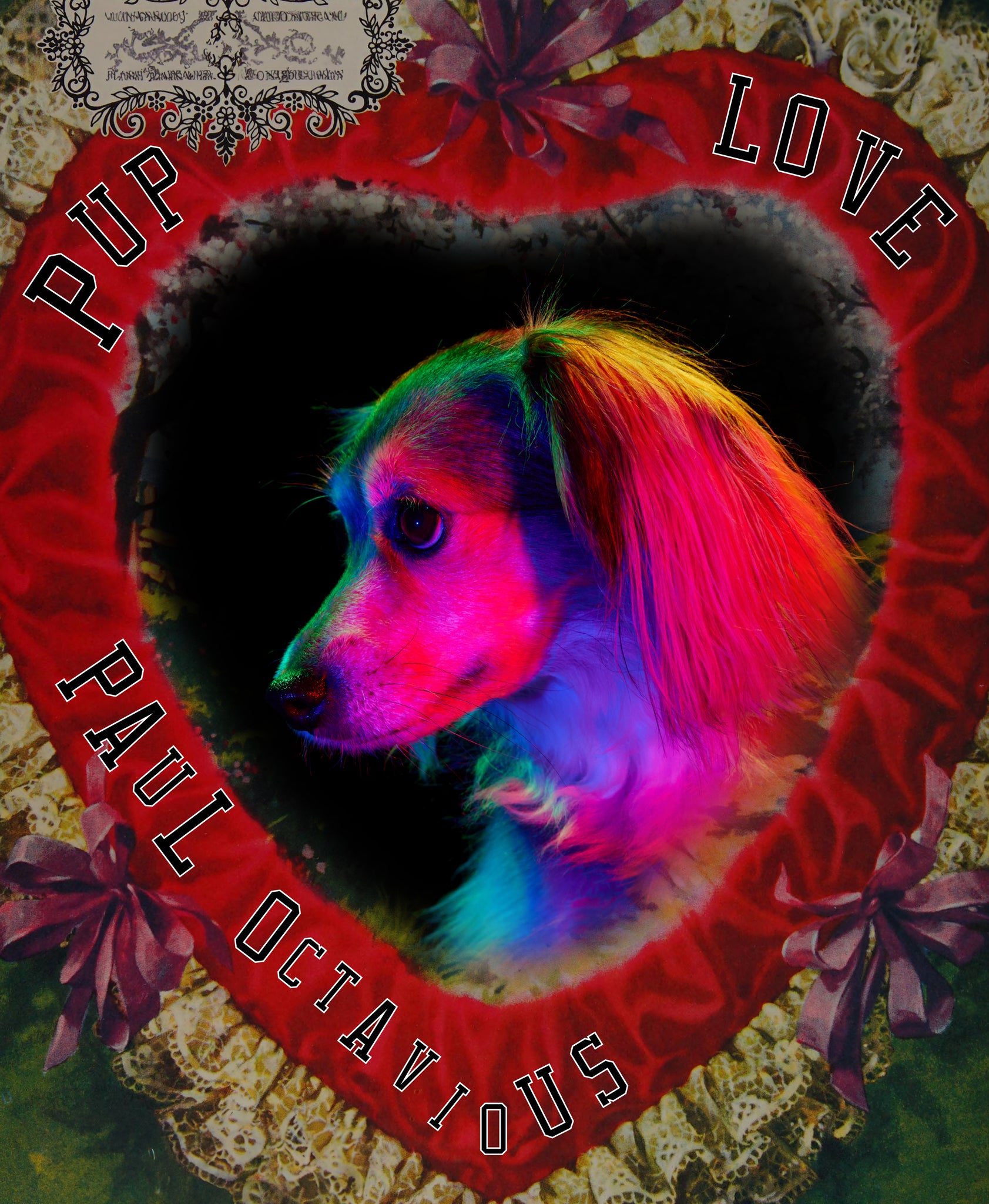 ❤️ Puppy Love Portrait Session by Paul Octavious  / Chicago 2.11 ❤️