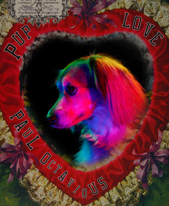 ❤️ Puppy Love Portrait Session by Paul Octavious  / Chicago 2.11 ❤️